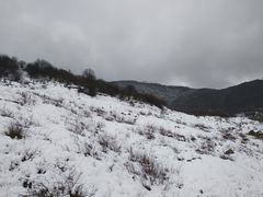 -太子岭滑雪场