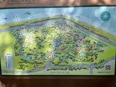 -上海滨江森林公园