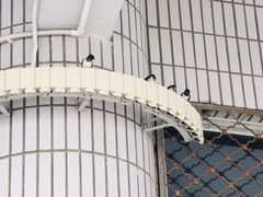 -裕彤国际体育中心