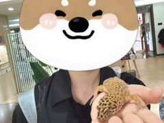 -三亚亚龙湾人间天堂鸟巢度假村