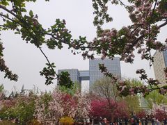 -海棠花溪(元大都城垣遗址公园)