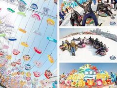 -沈阳奥体冰雪嘉年华