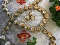 -宜宾海鲜酒家·三十年老字号