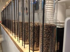 -喜茶(佛山岭南站店)