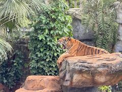 -海南热带野生动植物园