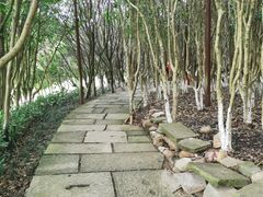 -八卦田遗址公园