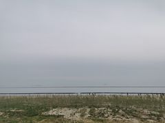 -合肥滨湖国家森林公园