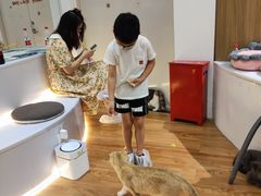 -COLOR PETS 撸猫馆·购猫·猫咖(长风大悦城店)