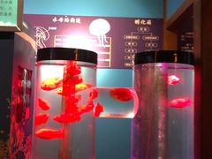 -多彩贵州城极地海洋世界