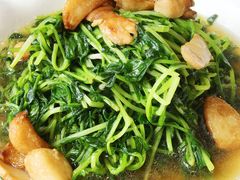 -绿波廊(豫园店)