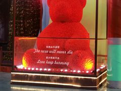 -泉城欧乐堡梦幻世界