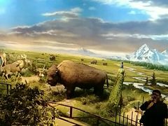 -陕西自然博物馆