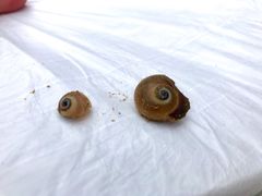 -巧克力渔家.小船海鲜家常菜(三浴场店)