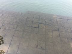 -青枫公园