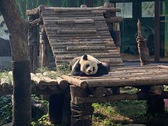 -南昌动物园