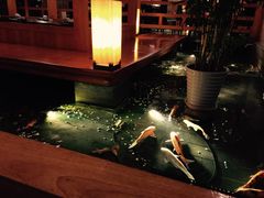 -松子料理(亮马桥店)