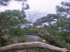 -罗田天堂寨风景区
