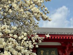 -大慈恩寺(大雁塔)