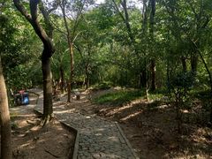 -上海佘山国家森林公园天马山园