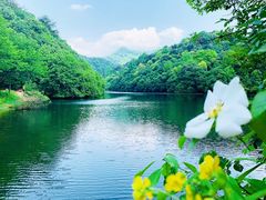 -小格里自然风景区