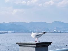 -海埂大坝