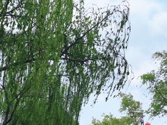 -咸阳湖景区-统一广场