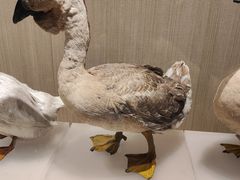 -中国农业博物馆