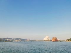 -野狸岛