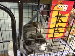 -谜盒子奇幻密室(南屏店)