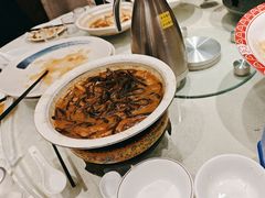 -邵年鸽(杨庄店)