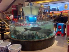 -魏铭鱼头捞饭(晋阳路店)