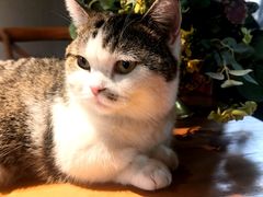 -IFIF 如果花園(宽厚里店)