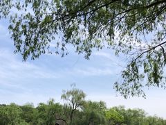 -颐和园