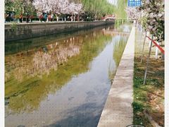 -海棠花溪(元大都城垣遗址公园)