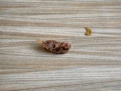 -樊记腊汁肉(竹笆市总店)