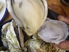 -开蚝屋