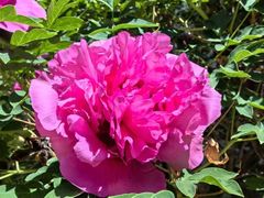 -西宁市人民公园(城西区)