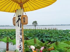 -七的湖·晚芳亭·阳澄湖农家菜·大闸蟹(莲花岛店)