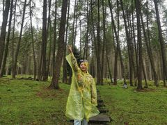 -硗碛藏寨·神木垒景区