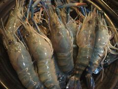 -Kingkong Buffet(The Mercury ville)