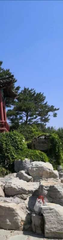 -大兴滨河森林公园