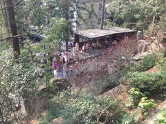 宁海森林温泉度假村-天明山温泉大酒店