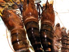 -Ministry of Crab(科伦坡店)