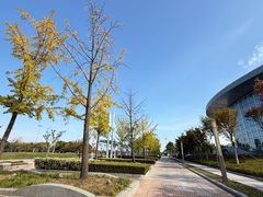 -日照世帆赛基地