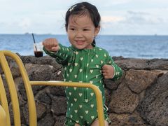 -汕尾风车岛
