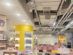 -TOYSRUS玩具反斗城(合肥华润万象城店)