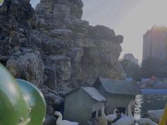 -团结湖公园