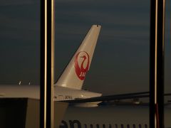 -奥黑尔国际机场