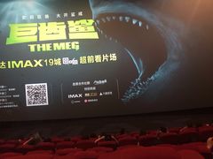 -万达影城(汉街万达广场IMAX店)