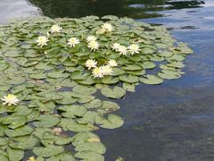 -西湖天地